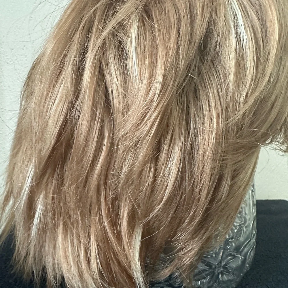 Natural Wig Shag with Highlights